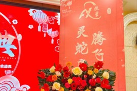 湖北扶星2025年蛇年春節聯歡晚會